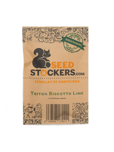 TRITON BISCOTTO LIME AUTO X3 - SEEDSTOCKERS CAJA ROTA 1