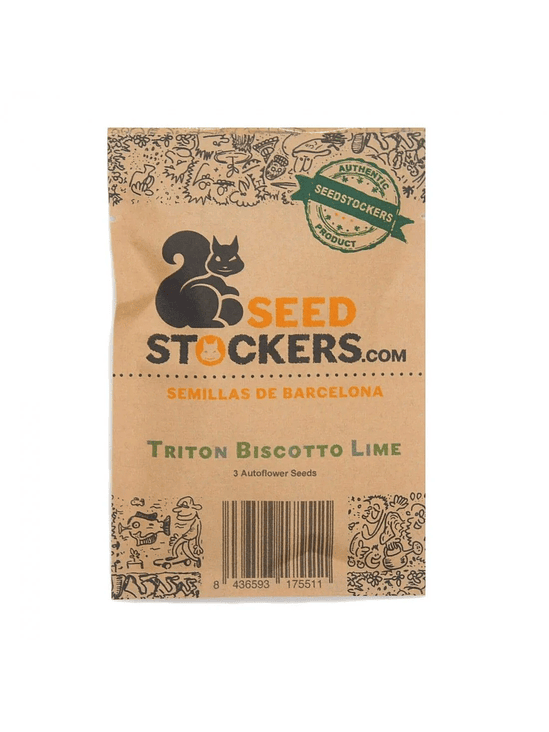 TRITON BISCOTTO LIME AUTO X3 - SEEDSTOCKERS CAJA ROTA 1