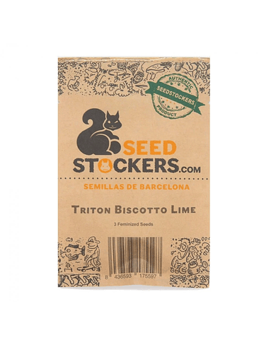 TRITON BISCOTTO LIME FEM X3 - SEEDSTOCKERS 1