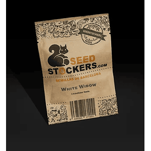 White Widow Auto X100 -Seedstockers