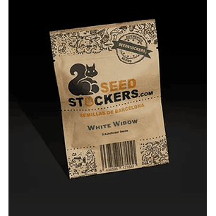 WHITE WIDOW AUTO X100 -SEEDSTOCKERS
