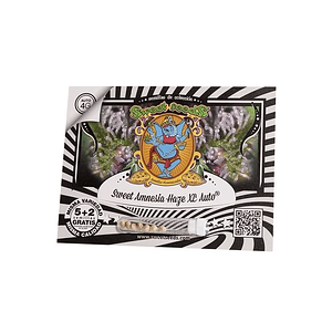 Sweet Amnesia Haze Xl Auto X5+2-Sweet Seeds