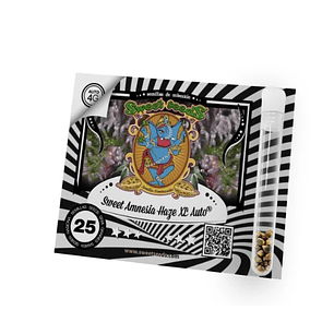 SWEET AMNESIA HAZE XL AUTO X25-SWEET SEEDS