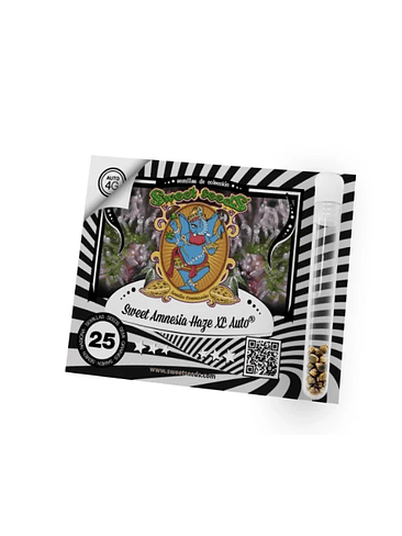 SWEET AMNESIA HAZE XL AUTO X25-SWEET SEEDS 1