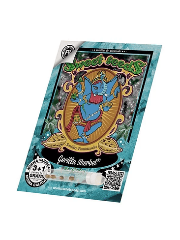 GORILLA SHERBET F1 FEM® X3+1-SWEET SEEDS 1