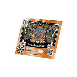 Sweet Mimosa Xl Auto® X3+1-Sweet Seeds