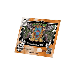 SWEET MIMOSA XL AUTO® X3+1-SWEET SEEDS