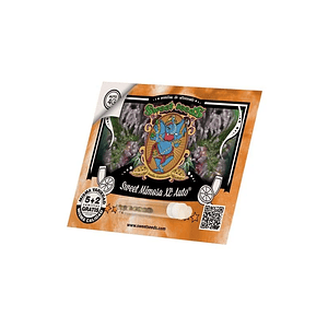 Sweet Mimosa Xl Auto® X5+2-Sweet Seeds