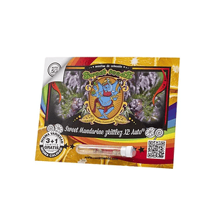 SWEET MANDARINE ZKITTLEZ XL AUTO X25-SWEET SEEDS