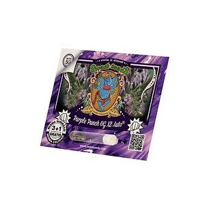 PURPLE PUNCH OG XL AUTO® X3+1-SWEET SEEDS
