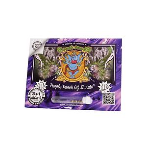 Purple Punch Og Xl Auto X25-Sweet Seeds