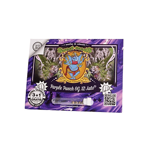 PURPLE PUNCH OG XL AUTO X25-SWEET SEEDS