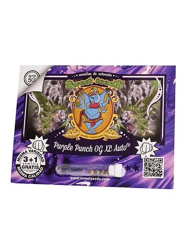 PURPLE PUNCH OG XL AUTO X25-SWEET SEEDS 1