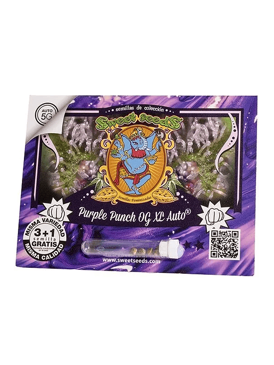 PURPLE PUNCH OG XL AUTO X25-SWEET SEEDS 1