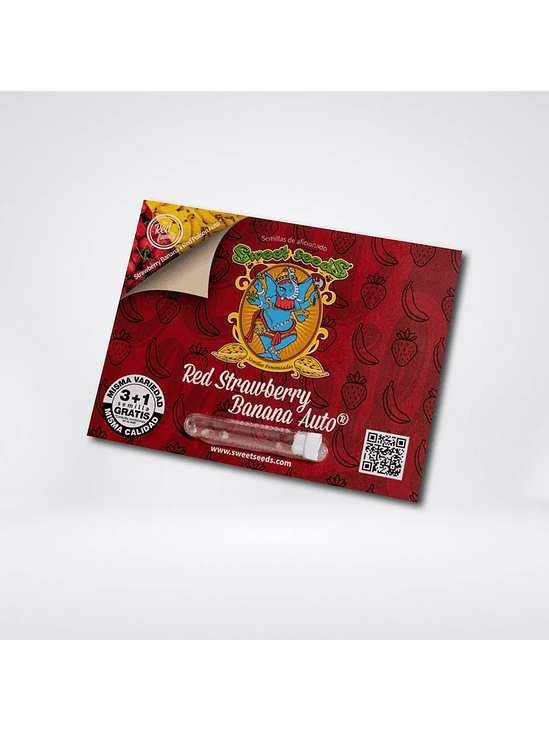 RED STRAWBERRY BANANA AUTO® X3+1-SWEET SEEDS 1