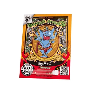 Big Devil F1 Fem X25-Sweet Seeds