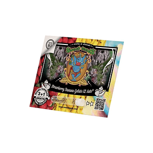 STRAWBERRY BANANA GELATO XL AUTO® X3+1-SWEET SEEDS