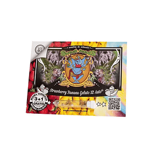 Strawberry Banana Gelato Xl Auto X25-Sweet Seeds