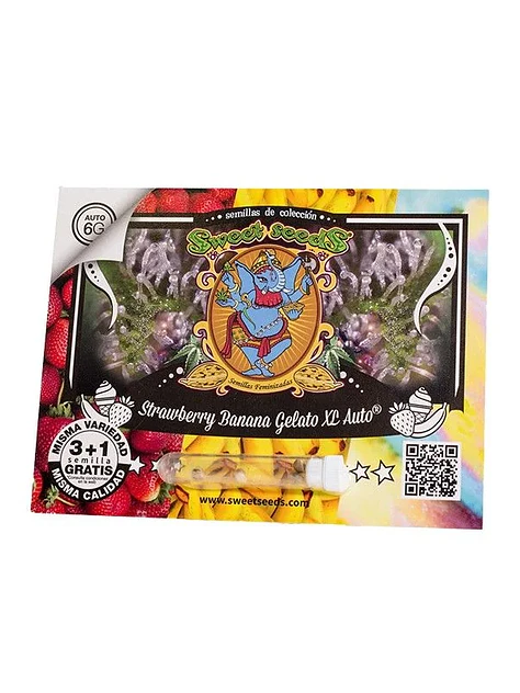Strawberry Banana Gelato Xl Auto -Sweet Seeds (X25/X5+2/X3+1) 1