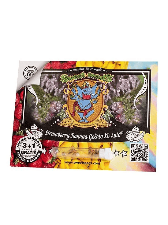 STRAWBERRY BANANA GELATO XL AUTO X25-SWEET SEEDS 1
