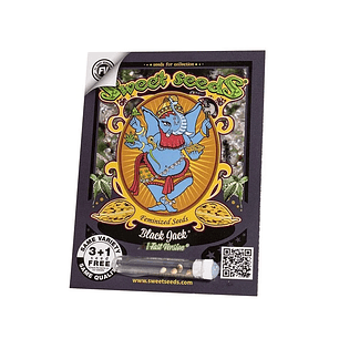 BLACK JACK F1  FEM X25-SWEET SEEDS