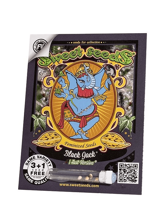 BLACK JACK F1  FEM X25-SWEET SEEDS 1