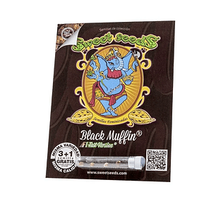 BLACK MUFFIN F1 FAST VERSION X3+1-SWEET SEEDS