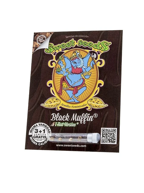 Black Muffin F1 Fast Version X3+1-Sweet Seeds 1