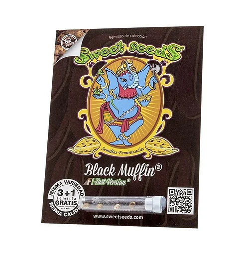 Black Muffin F1 Fast Version X3+1-Sweet Seeds