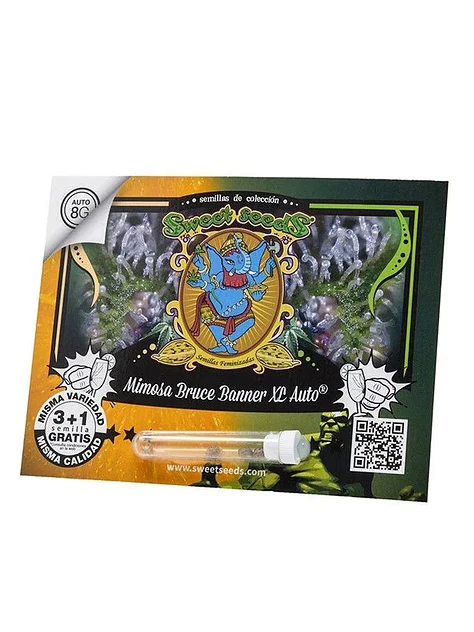 Mimosa Bruce  Banner  Xl Auto® 3+1-Sweet Seeds 1