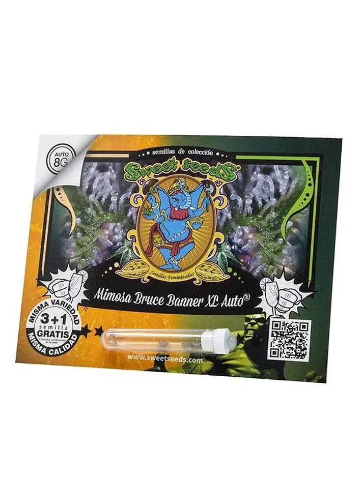Mimosa Bruce  Banner  Xl Auto® 3+1-Sweet Seeds 1