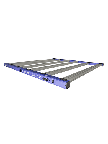 NEW QUANTUM LITE 600W-DELIGHT 1