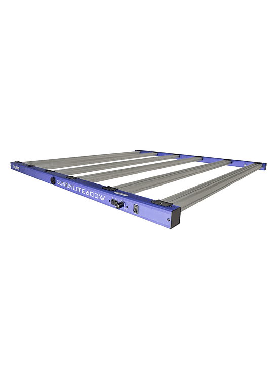 NEW QUANTUM LITE 600W-DELIGHT 1