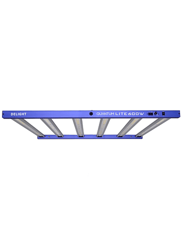 NEW QUANTUM LITE 600W-DELIGHT 3