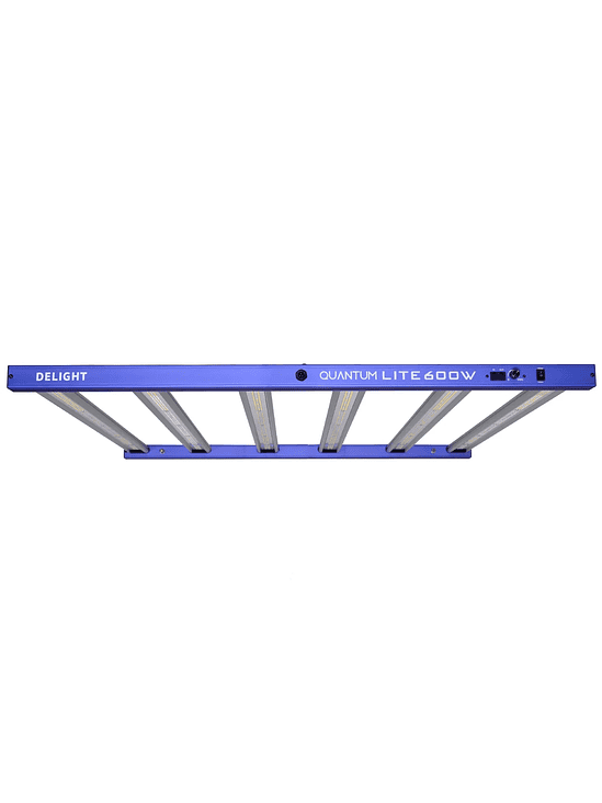 NEW QUANTUM LITE 600W-DELIGHT 3