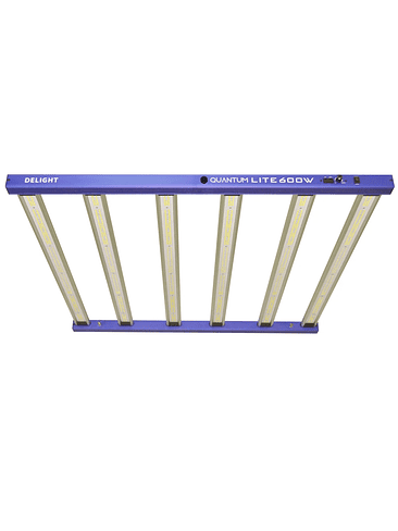 NEW QUANTUM LITE 600W-DELIGHT 4