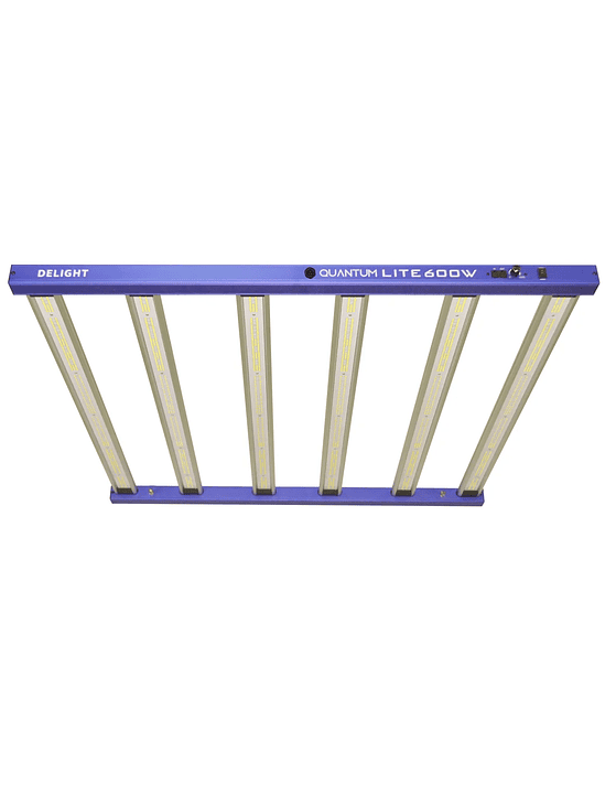 NEW QUANTUM LITE 600W-DELIGHT 4