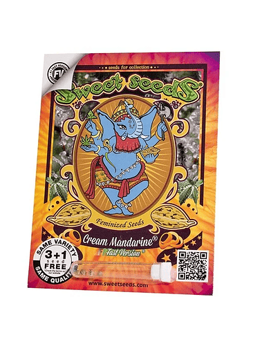 CREAM MANDARINE F1 FEM X100-SWEET SEEDS 1