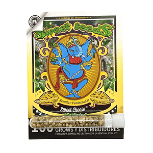 Sweet Cheese F1 Fem® X100-Sweet Seeds