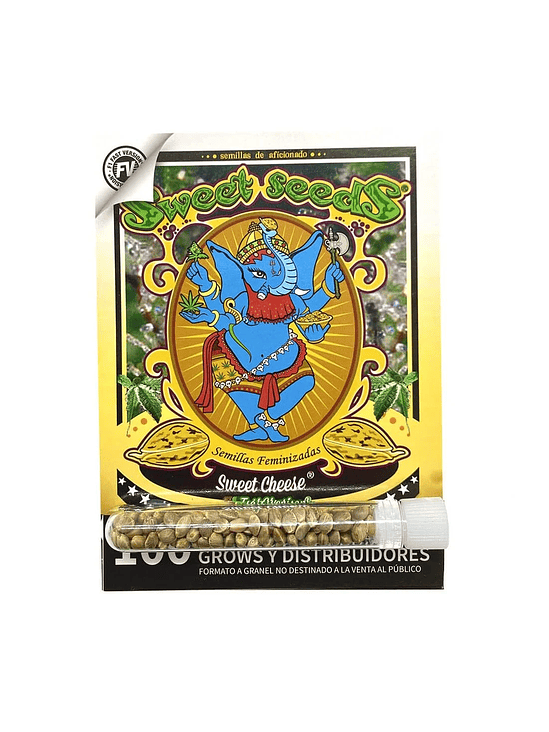 SWEET CHEESE F1 FEM® X100-SWEET SEEDS 1