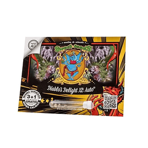 Diablos Delight Xl Auto X3+1-Sweet Seeds