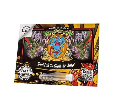 Diablos Delight Xl Auto X3+1-Sweet Seeds