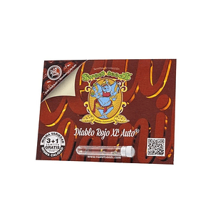 DIABLO ROJO XL AUTO X3+1-SWEET SEEDS