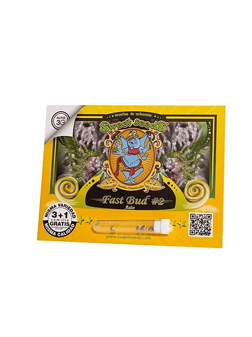 FAST BUD 2 AUTO X3+1-SWEET SEEDS 1