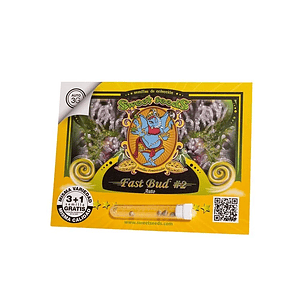 FAST BUD 2 AUTO X25-SWEET SEEDS