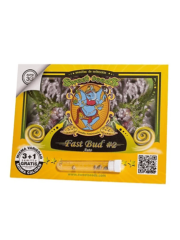 FAST BUD 2 AUTO X100-SWEET SEEDS 1