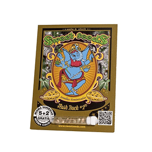 FLASH BACK 2 FEM X5+2-SWEET SEEDS