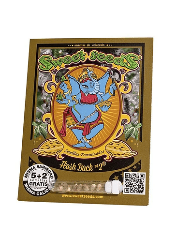 FLASH BACK 2 FEM X5+2-SWEET SEEDS 1