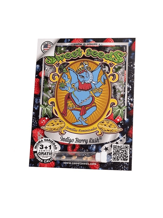 INDIGO BERRY KUSH FEMX3+1-SWEET SEEDS 1