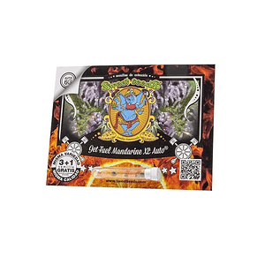 Jet Fuel Mandarine Xl Auto X3+1-Sweet Seeds
